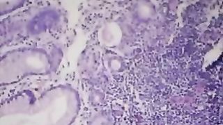 ОСП Н.Новгород - Дотянуться до звезд