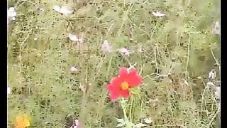 ОСП Красноярск 4 - Возлюби ближнего