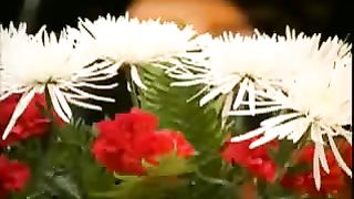 Дай мне Боже предстать