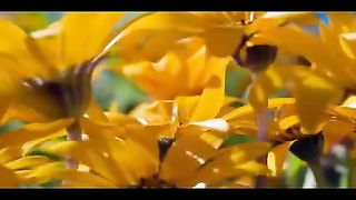 Валерий Короп - Гефсимания