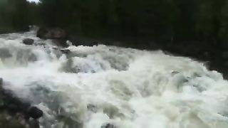 Жизни река бежит