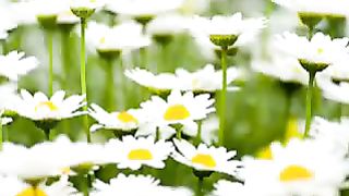 Tatal Nostru - Marius Livanu Молитва Отче Наш