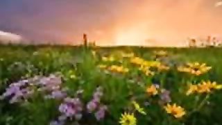 Tatal Nostru - Marius Livanu Молитва Отче Наш