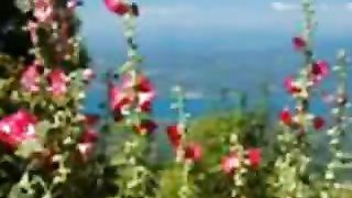 Tatal Nostru - Marius Livanu Молитва Отче Наш