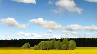 Душа болит от боли изнывая