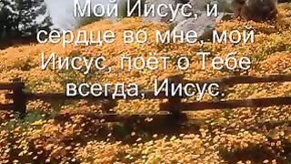 За все тебя благодарю