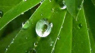 Марат Мартыканов - Я слышу музыку