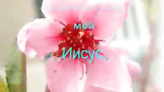 За все тебя Господь благодарю