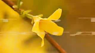 За все тебя Господь благодарю