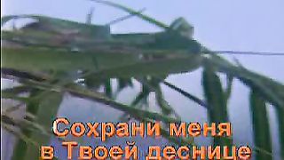 Каждый день и каждое мгновенье