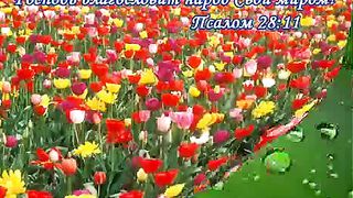 Предвосхищение встречи