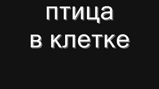Птица в клетке