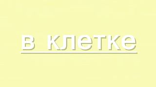 Птица в клетке