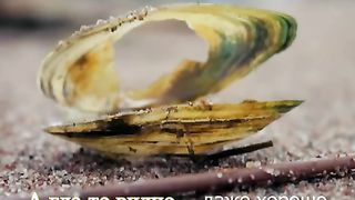 Цитаты и клипарт под музыку