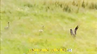 Я о небе мечтаю