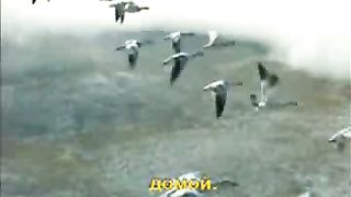 Я о небе мечтаю