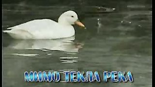 Мимо текла река