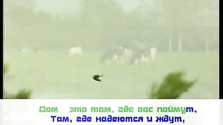 Мимо текла река