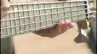 New Life - жить одному не легко