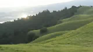 Пишутся прекрасные пейзажи