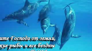 Перед Тобой склоняюсь я