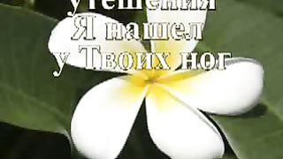 Перед Тобой склоняюсь я