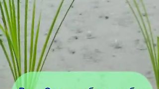 Добрая Весть - Шаги слышны