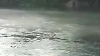 Дмитрий Ефременко, Виталий Тарантин - Господу помолимся