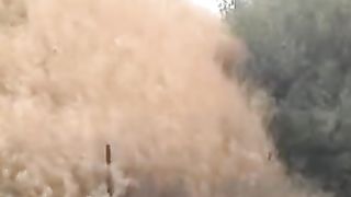 Константин и Анна Лин - Псалом