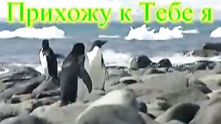 Прихожу к Тебе Я