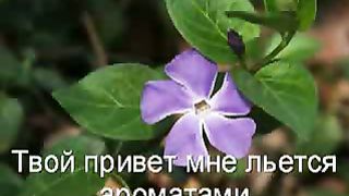 Струн души рука Христа касается