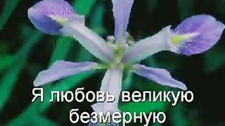 Струн души рука Христа касается