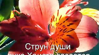 Струн души рука Христа касается