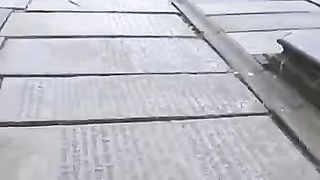 Юрис Лейцис - Черта