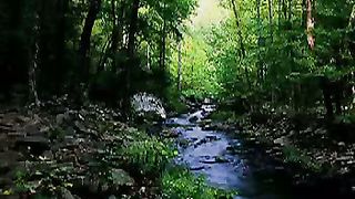 Ти моя сила у житті