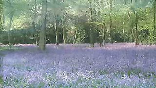 Ти моя сила у житті