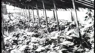 Протестанты в советском союзе