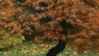 Я спасён от греха