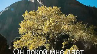 Я спасён от греха