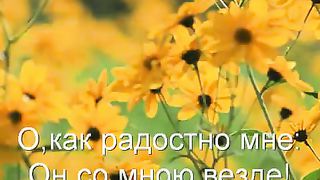 Я спасён от греха