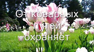 Величит душа моя Бога