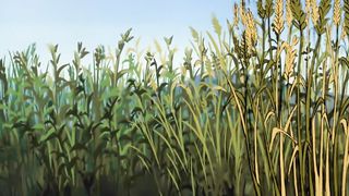 Анимированные истории Нового Завета - Царствие Небесное