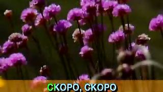 Скоро ты придёшь