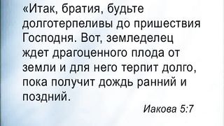 Чип Ингрэм - Пять обманов разрушающих отношения 9