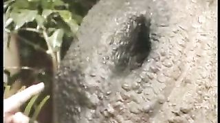 Сотворение мира в 21 веке - 6 Ноев ковчег и всемирный потоп 1