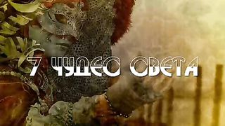 7 чудес света