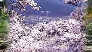 Благодарность Творцу за природу