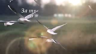 Благодарность Творцу за природу