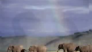 Благодарность Творцу за природу