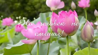 Бог и человек притча